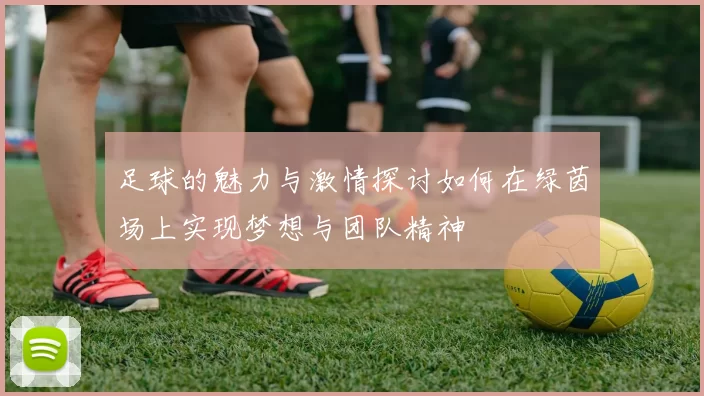 足球的魅力与激情探讨如何在绿茵场上实现梦想与团队精神