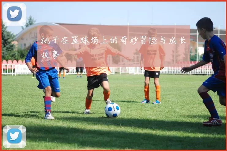 桃子在篮球场上的奇妙冒险与成长故事