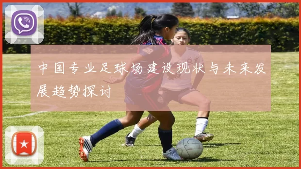 中国专业足球场建设现状与未来发展趋势探讨