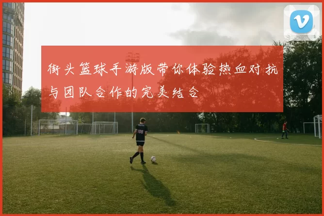 街头篮球手游版带你体验热血对抗与团队合作的完美结合