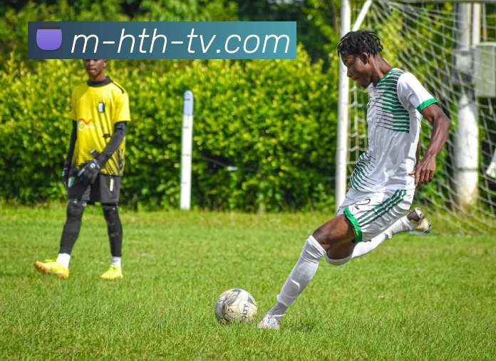 街头篮球手游版带你体验热血对抗与团队合作的完美结合